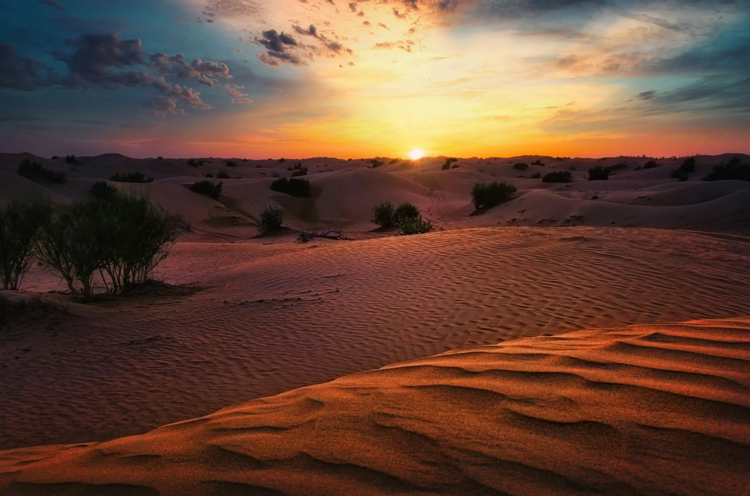 visiter-desert-dubai-nehome