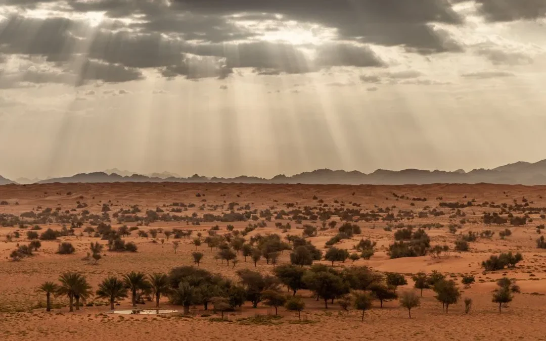Quand partir à Dubaï ? Les températures des Émirats arabes unis