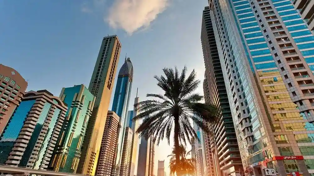 dubai en ete palmiers building 