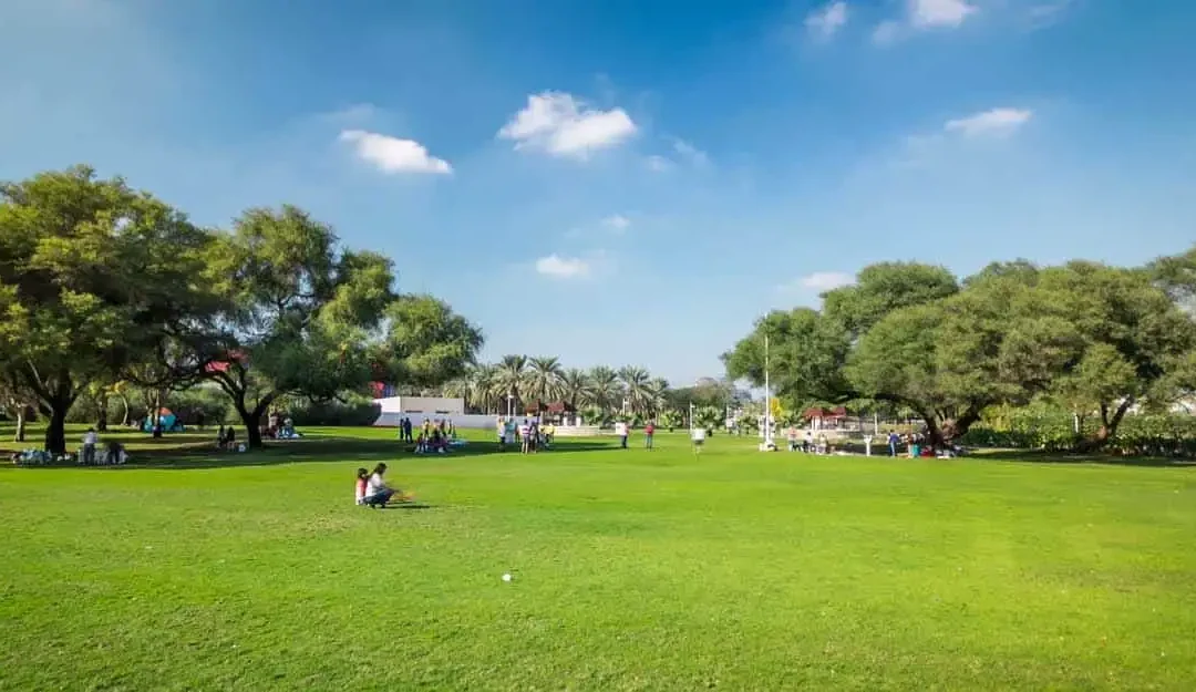 Dubaï Creek Park : Le plus grand parc de Dubaï ?