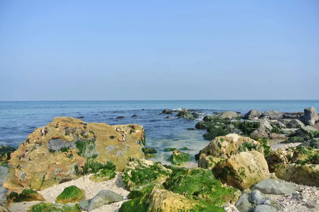 Rochers au bord d'une plage sauvage et calme de Sharjah 