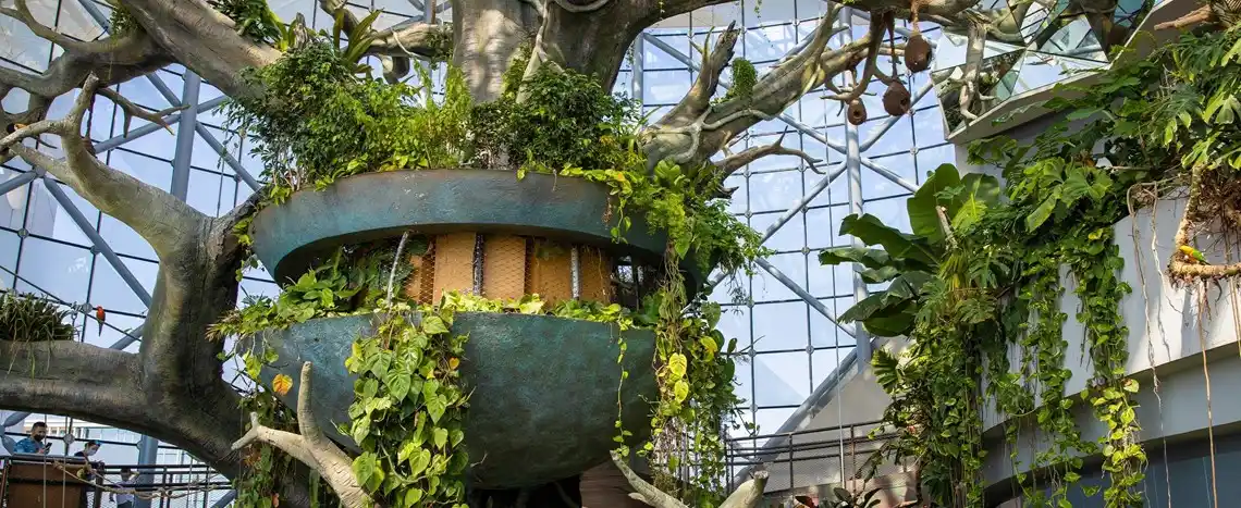 Green Planet attraction Dubaï arbre