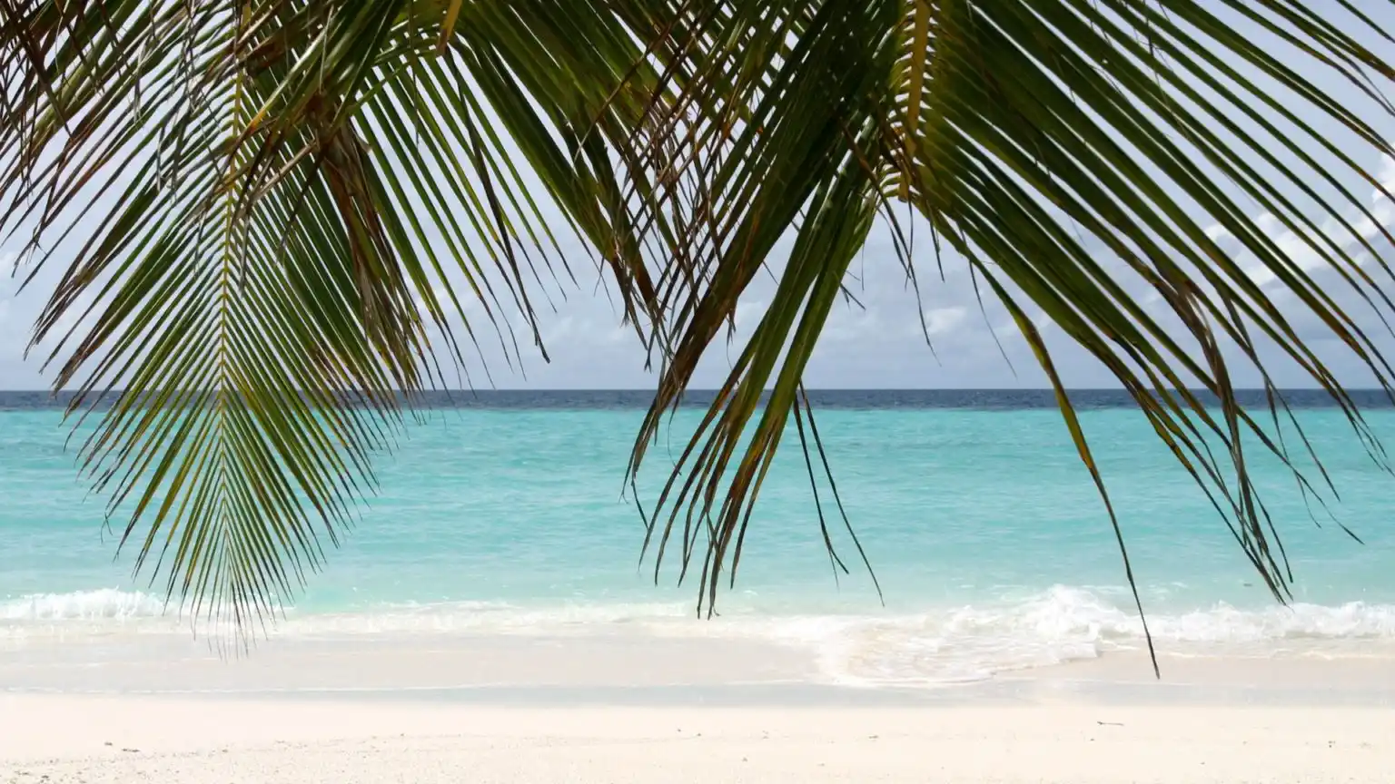 dubai plage sans vis a vis