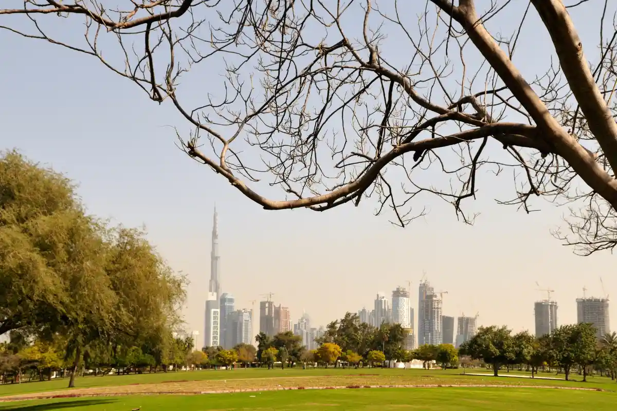 Safa park dubai