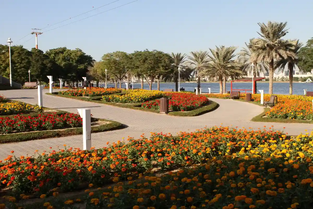 Creek park de dubaï fleurs et verdure au bord de l'eau 