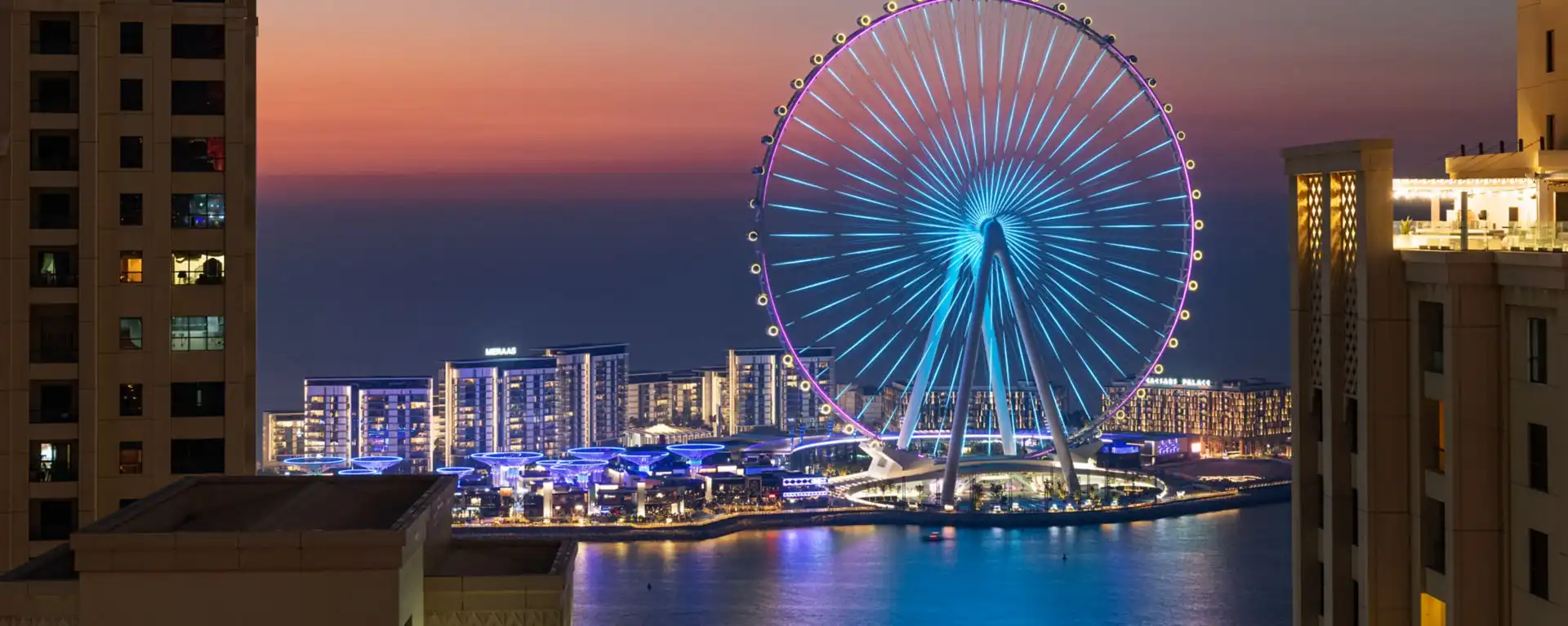 Ain Dubaï illuminé de nuit