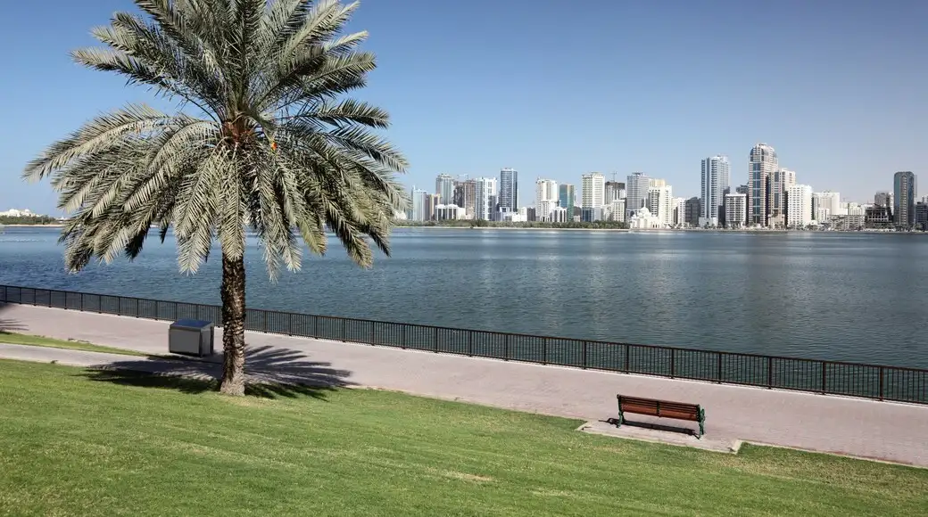 banc et palmier au bord de l'eau au dubai creek park