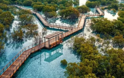 Jubail Mangrove Park à Abu Dhabi